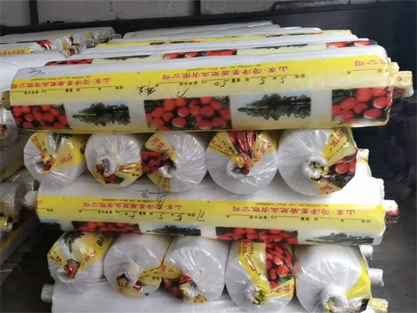 砂糖橘专用膜厂家