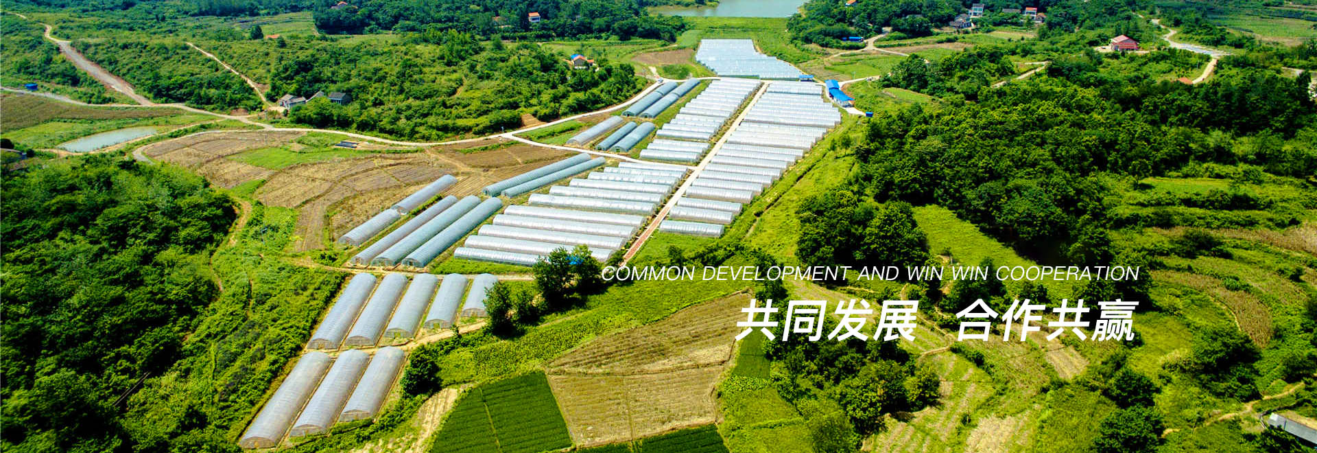 山东地膜厂家